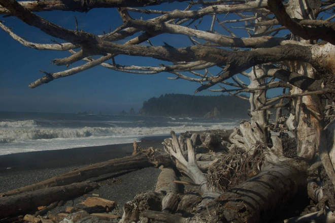 Rialto Beach, north of Forks
